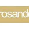 LOGO_PROSANDER